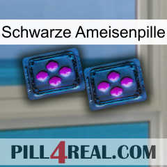 Black Ant Pill 03